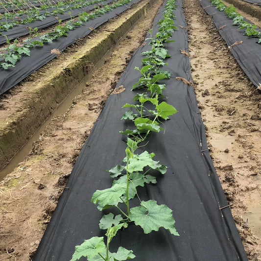 Perforated Weed Barrier Fabric Kit