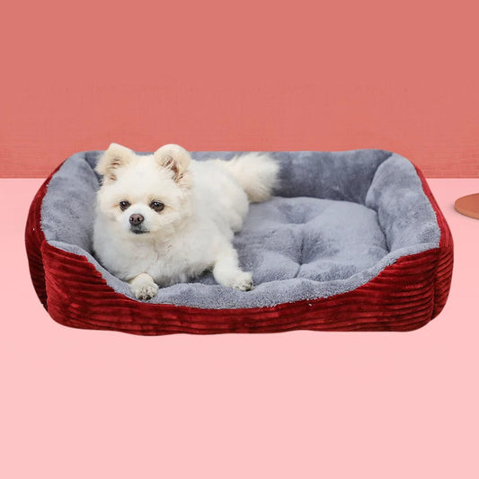 Warm Dog House
