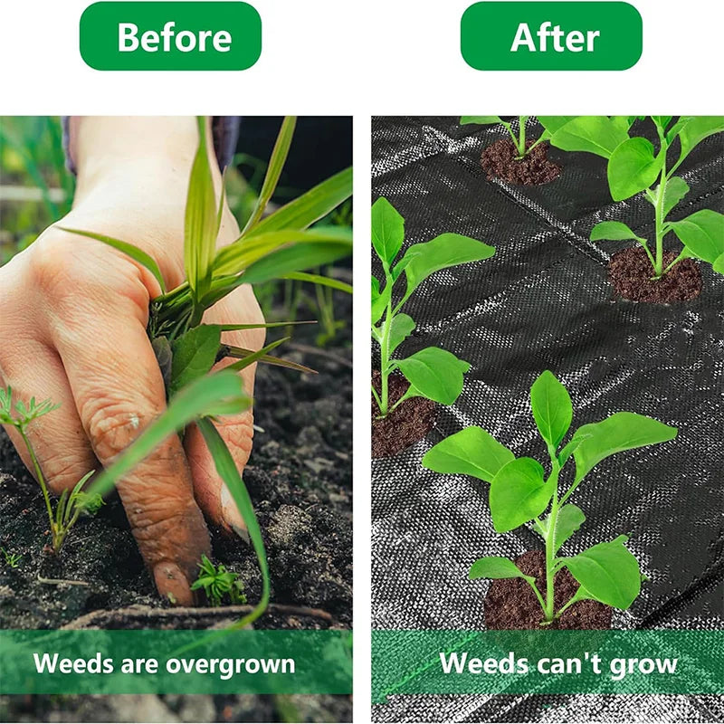 Perforated Weed Barrier Fabric Kit