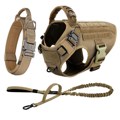 Large Dog Harness And Leash Set