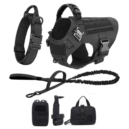 Large Dog Harness And Leash Set