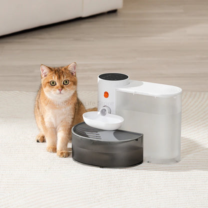 Water dispenser for your pets