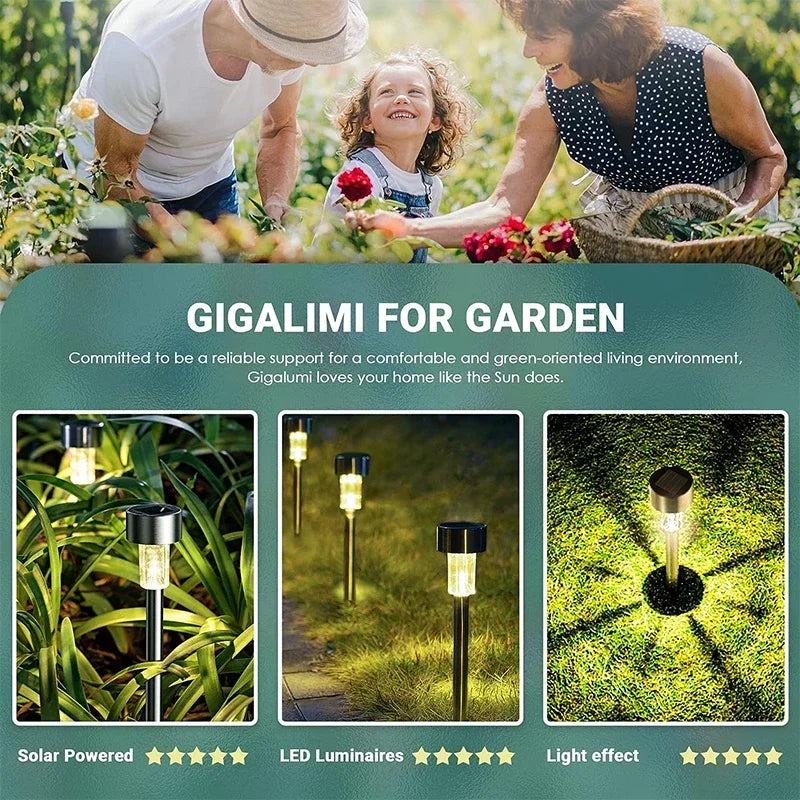 10Pack Solar Outdoor Lights