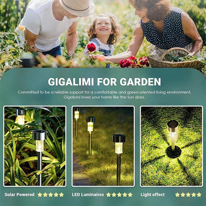 10Pack Solar Outdoor Lights