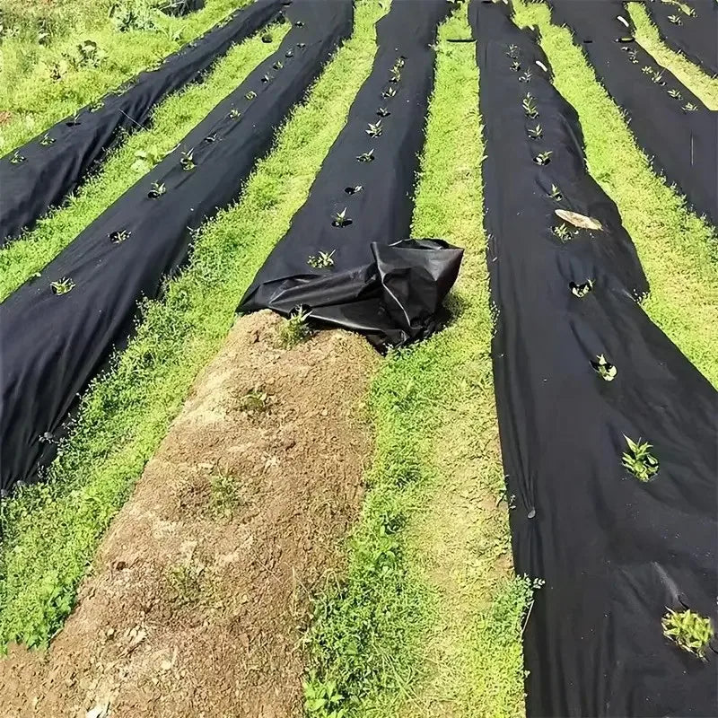 Perforated Weed Barrier Fabric Kit
