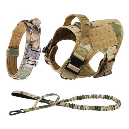 Large Dog Harness And Leash Set