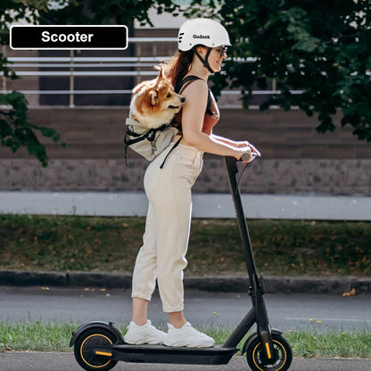 Adult Bike Helmet for Bicycle- Skating -Skateboard