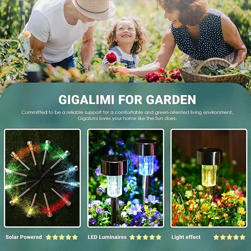10Pack Solar Outdoor Lights