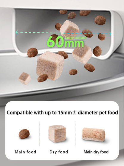 Automatic Cat Feeder Camera