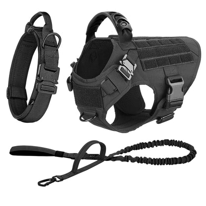 Large Dog Harness And Leash Set