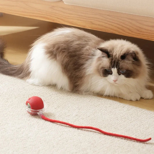 1~3pcs Cat Interactive Ball Toy Automatic