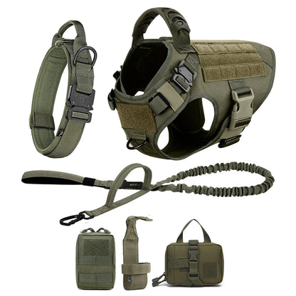 Large Dog Harness And Leash Set